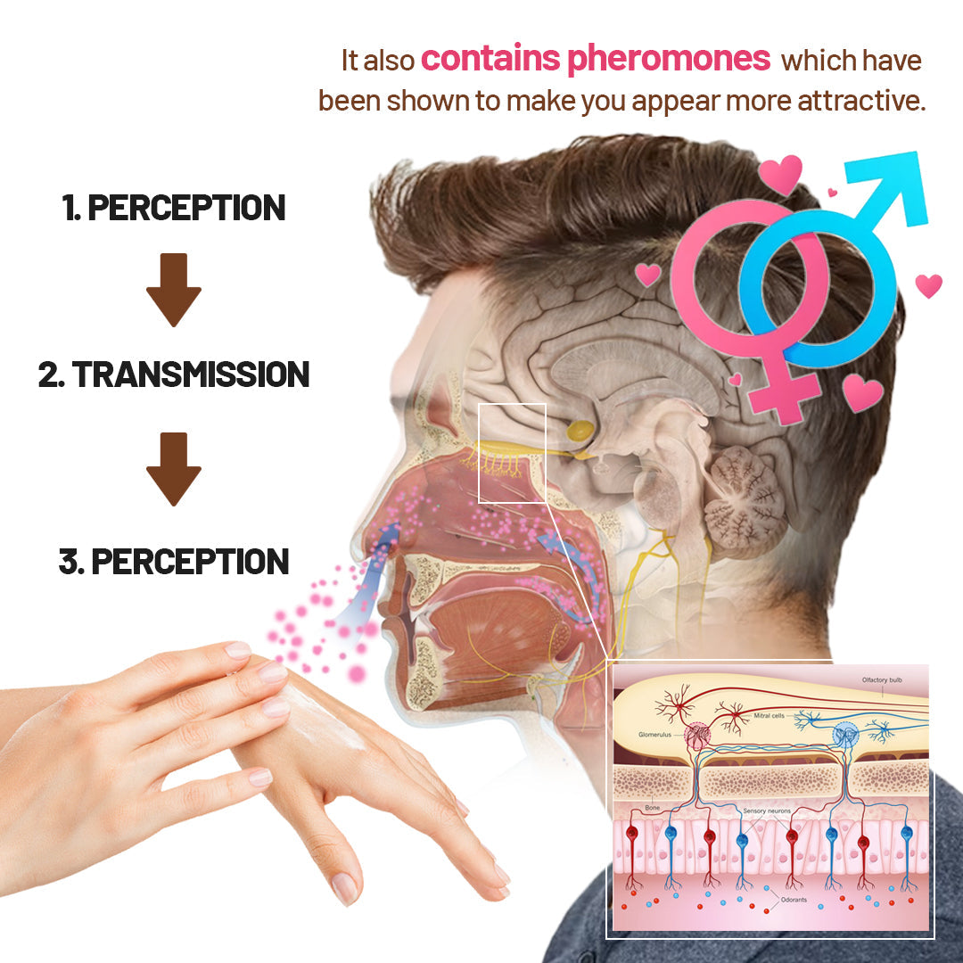 Le Trésor™ Scented-Phermone Handcream